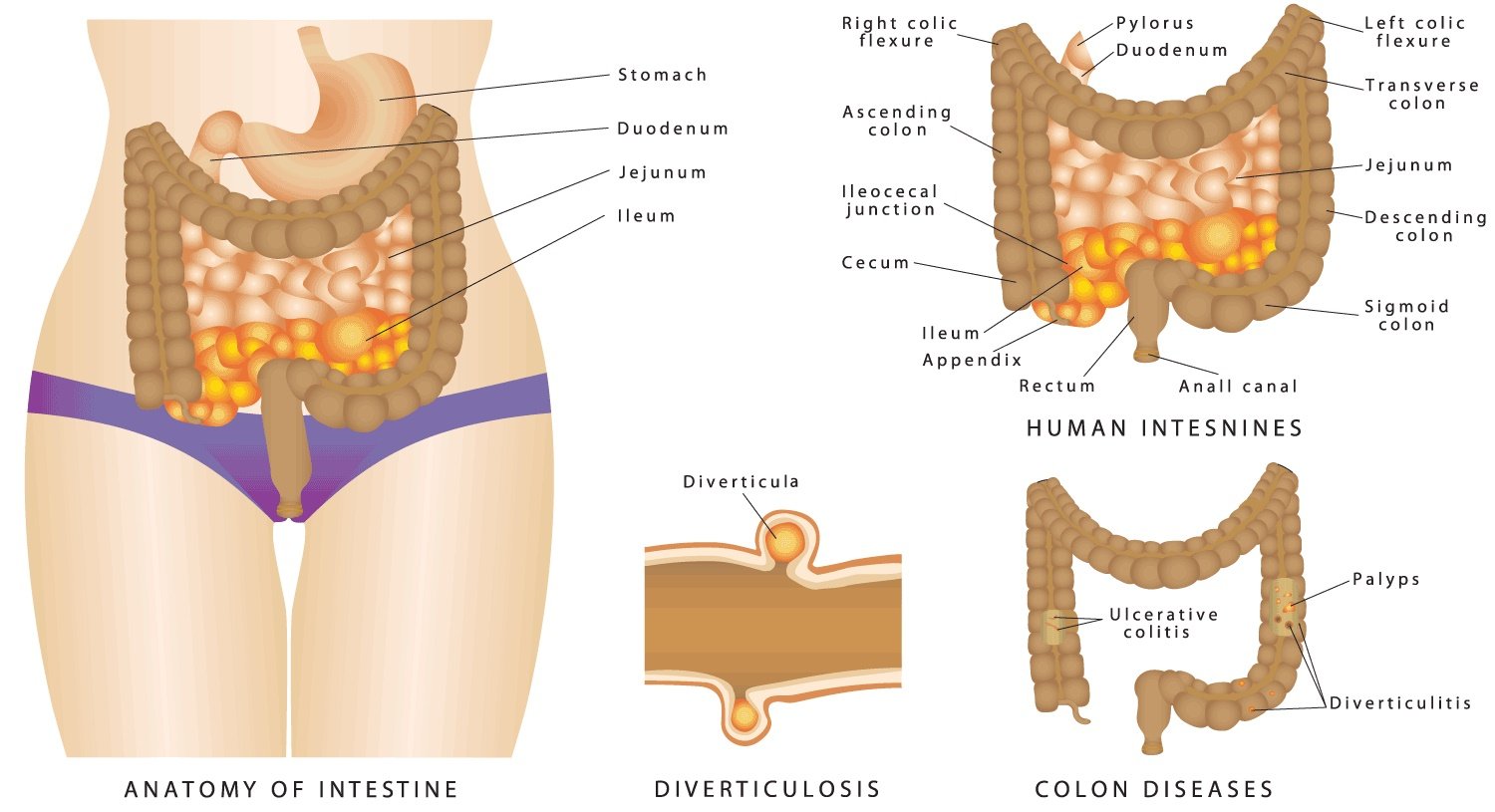 How to Completely Empty Colon?